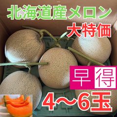 【農家直送・贈答用】富良野メロン 4玉(赤肉セット、 1玉2.0kg以上の大玉) 農家直送・贈答用】富良野メロン 4玉(赤肉セット、 1玉2.0kg以上の大玉