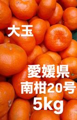 愛媛県産　南柑20号　みかん　5kg