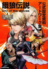 B1・汚れ痛みあり】 餓狼伝説 ワイルド アンビション アーケード