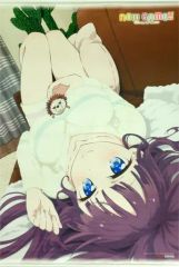 [중고] 태피스트리 타키모토 히후미 애니메이션 신작 일러스트 사용 B1 태피스트리 [Blu-ray/DVD NEW GAME!!] 게이머즈 전권 구입 특전