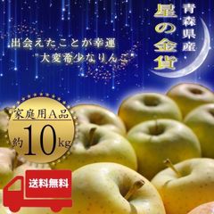 青森県産 ＂ 星の金貨 ＂ りんご【ご家庭用A品10kg】【送料無料】【産地直送】リンゴ 林檎
