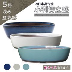鉢 〜7号 口径又は長辺が約21cmまで ---大きめの小品、中品に---