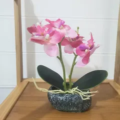 敬老の日 プレゼント お開店祝いギフトに最適 新築祝い 胡蝶蘭 胡蝶蘭 (石鉢 シルクフラワー フェイク 石鉢インテリア 船型の鉢植 緋.) 卓上型 光触媒加工 造花 人工観葉植物