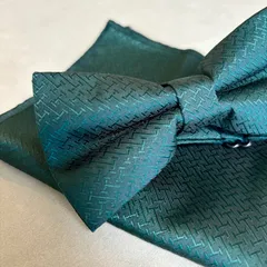 蝶ネクタイ グリーン みどり 結婚式 新郎 メンズ お洒落 スーツ 二次会 披露宴 お色直し  パーティー 上品 フォーマル ウェディング 2点セット ブライダル タキシード 高級感  ボウタイ 簡易装着 n19