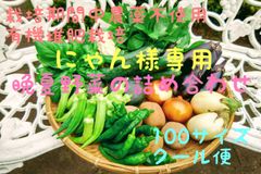 【にゃん様専用】晩夏野菜の詰め合わせ（クール便）