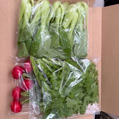 ちょこっと色々野菜便#新鮮#野菜#農家直送
