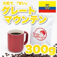 【 300g 】グレートマウンテン　CandyCoffee　キャンディコーヒー　コーヒー豆　自家焙煎　/ グレートマウンテン 甘い 贅沢。珈琲豆 珈琲  メルカリShops店
　#人気メニュー
