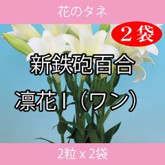 花のタネ TFA02 新鉄砲百合・凛花I（ワン） 2粒 x 2袋