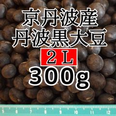 丹波黒大豆 2Lサイズ 300g 京丹波産 令和6年産 新豆
