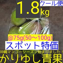 〈スポット特価〉沖縄県産 摘果マンゴー/青マンゴー/グリーンマンゴー@75g(50〜100g)約1.8kg【クール便】②