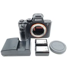【非売品】Sony α7RII ノベルティグッズ レンズ2種 ソニー(SONY) α7C II ボディ(シルバー) フルサイズミラーレス