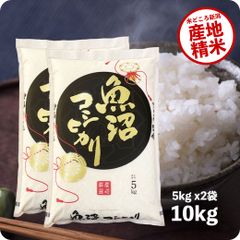 米 魚沼産コシヒカリ10kg お米 令和5年産 白米