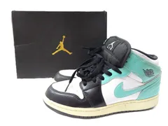 25.0cm NIKE AIR JORDAN 1 MID GS トロピカルツイスト 554725-132