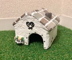 爬虫類　シェルター　ミニ