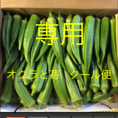 専用