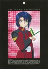 【中古】小物(キャラクター) アスラン・ザラ ポートレート 「機動戦士ガンダムSEED」 キャラクターボックス