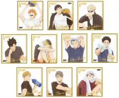 【中古】紙製品 全10種セット 「ハイキュー!! 箔押しミニ色紙コレクション」