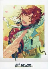 2026年最新】三毛縞斑 箔押しの人気アイテム - メルカリ