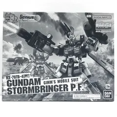 中古 BANDAI SPIRITS | バンダイスピリット プラモデル ガンダムビルドダイバーズGIMM＆BALL’sWorldChallenge ガンダムストームブリンガーP.F. MG 1/100 2024年製 プレミアムバンダイ限定 【714】 中古 BANDAI SPIRITS | バンダイスピリット プラモデル ガンダム