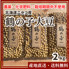 【農薬・化学肥料：栽培期間中不使用】鶴の子大豆 2kg  北海道 ニセコ
