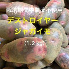 栽培期間中農薬不使用　ジャガイモ　デストロイヤー（1.２kg）