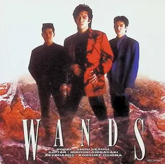 WANDS ワンズ　上杉昇　ドッグタグ　ネックレス　VIDEO JUNK グッズ WANDS ワンズ 上杉昇 ドッグタグ ネックレス VIDEO JUNK グッズ