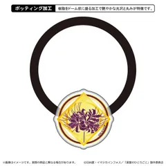 2025年最新】楼蘭妃の人気アイテム - メルカリ