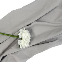 Item thumbnail for item 6ac64543-74b7-475d-8529-a9336e5a493a