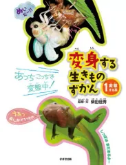 【中古】 申命記/日本基督教団出版局/鈴木佳秀 2025年最新】鈴木佳秀の人気アイテム - メルカリ