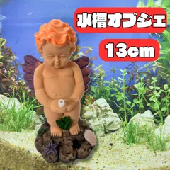 2025年最新】洞窟流木の人気アイテム - メルカリ 2025年最新】洞窟流木の人気アイテム - メルカリ
