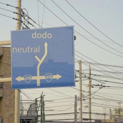 dodo / neutral [12inch]