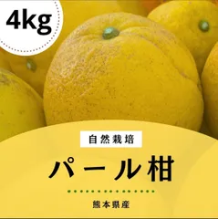 2025年最新】サワーポメロの人気アイテム - メルカリ