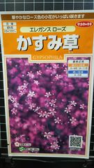 かすみ草 エレガンス ローズ カスミソウ 種 ３袋セット