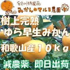 【樹上完熟】ゆら早生みかん10kg　減農薬　和歌山県下津産直　訳あり【特別栽培認証】
