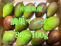 沖縄県産　摘果マンゴー　1.2キロ