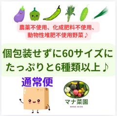 訳ありお野菜セット🥗数量限定♪マナ菜園。農薬、肥料不使用♪( ´▽｀)お野菜詰め合わせ🎵