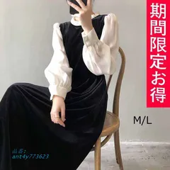 シフォンスリーブ ワンピース 。 シアー ハイネック長袖 レディース 。 おすすめ ブラック 2023春秋フォーマル新作 おしゃれ ant4y773623