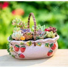 t*e様 ◆オークション　花籠　発根株　サボテン　多肉植物 Yahoo!オークション - サボテン・多肉植物 832 花籠 実生