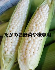 規格外 白色 30本