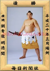 2025年最新】朝青龍明徳の人気アイテム - メルカリ