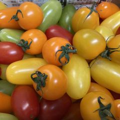 フルーツトマトミックス　1ｋｇ　　贈答好適品！　熨斗、簡易包装対応します