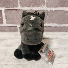 中山グランドジャンプ ぬいぐるみ 6番 imgrc0102914628.jpg