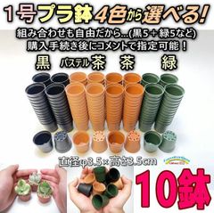 平日＊日中注文即日発送-1号鉢ミニプラ鉢- [黒/パステル茶/茶/緑] 10鉢＊多肉植物・塊根植物コーデックス・アガベ・サボテン・観葉・ハオルチア・アデニウム・パキポディウム・実生＠フラワーショップ江口-1号プラ鉢10個セット