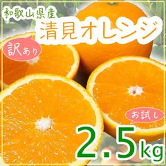 清見オレンジ  和歌山県産 訳あり お試し 清見みかん 2.5kg ご自宅用