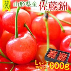 送料無料 佐藤錦 さくらんぼ 山形さくらんぼ サクランボ 佐藤錦 Lサイズ 300g × 2パック 合計 600g 産地直送 秀品 等級 秀 ギフト 贈り物 母の日 プレゼント バラ詰め 贈答品 お中元 お取り寄せ