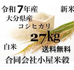 SHO♡AO プロフ必読！お米　令和4年　愛媛県産コシヒカリ　白米　20㎏ R6年産 特別栽培米 コシヒカリ白米 真空包装！：愛知県産のお米