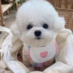 【閉店セール全品半額】Loveハートスタイ　前掛け　犬服　ドッグウェア　ドッググッズ