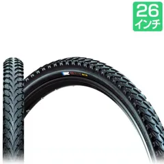 maxxis minion 26x2 8
