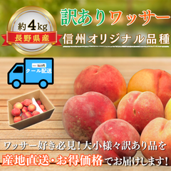訳ありワッサー〜信州生まれの新食感フルーツ〜【内容量】約4kg【配送方法】クール配送【サイズ】ミックス【品目】ワッサー【品種】ミックス【産地】長野県【規格】ご家庭用B品【販売会社】有限会社青木青果