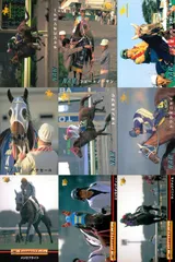 ux233 カード まとめ 競馬 サラブレッドカード 馬 チャンピオンスター フェードソーサ マックスフリード ハナセール トチノミフジ トクイニセイ メジロライデン エリモシンティー ランニングゲイル